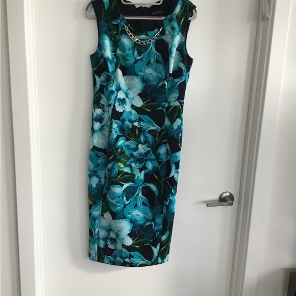 Enfocus Studio Dresses & Skirts - Floral Blue Dress
